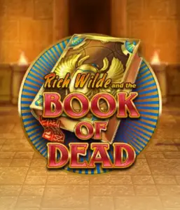 Начните захватывающий мир Book of Dead от Play'n GO, представляющий яркую графику путешествия Рича Уайлда по древнеегипетским гробницам и артефактам. Откройте затерянные богатства с пленяющими механиками, такими как бесплатные вращения, расширяющиеся символы и возможность игры на риск. Идеально для тех, кто ищет приключений, желающих волнующих находок.